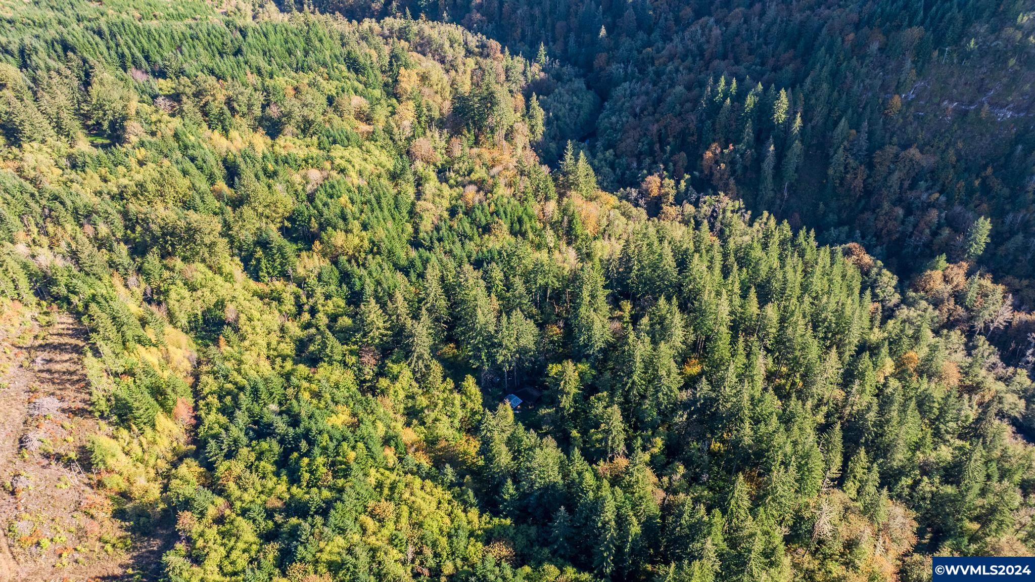 0 Abiqua Road Scotts Mills, OR 97375 - Photo 7 of 12
