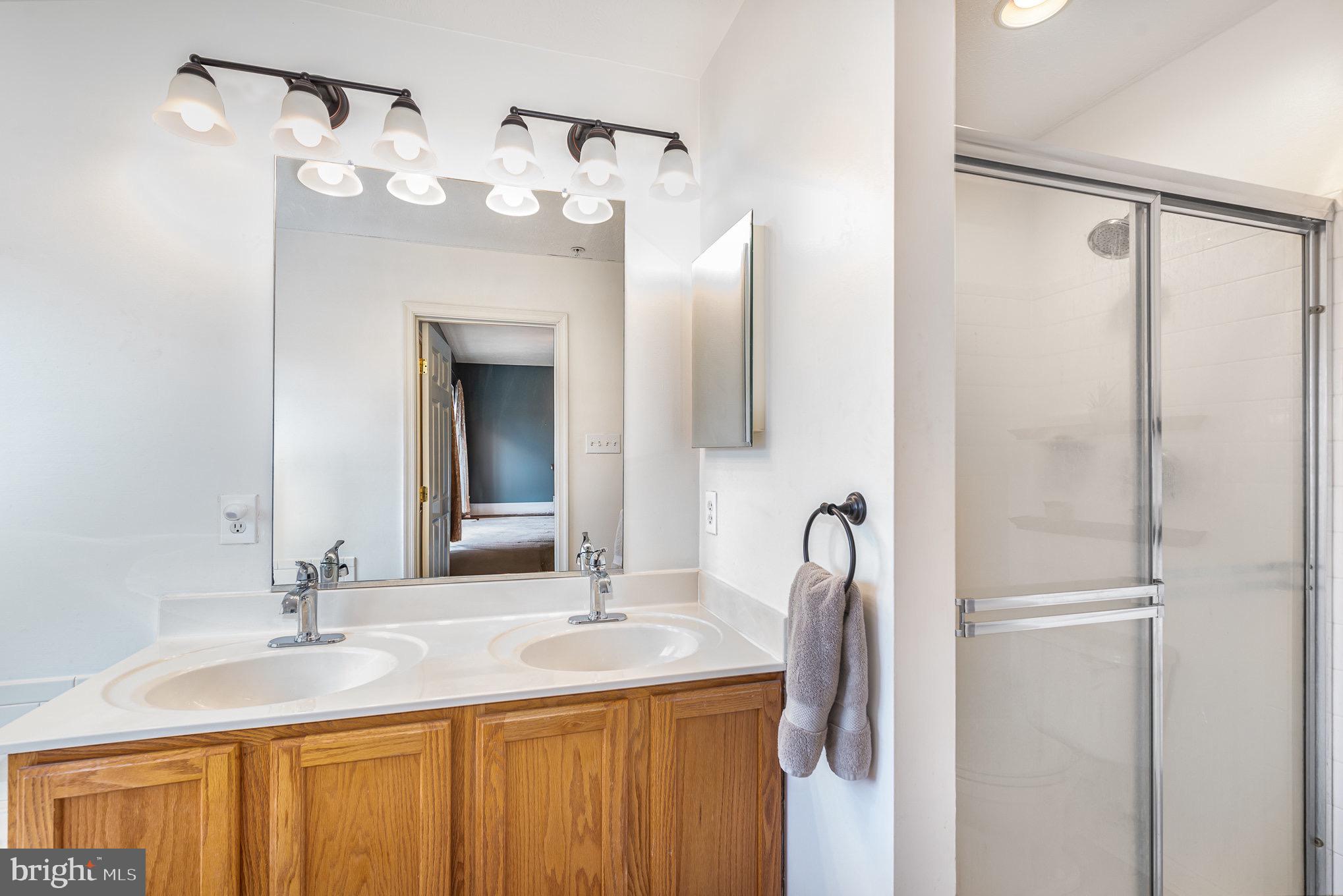 118 Maple Leaf Drive Rising Sun, MD 21911 - Photo 17 of 29 a bathroom with a sink vanity and a mirror