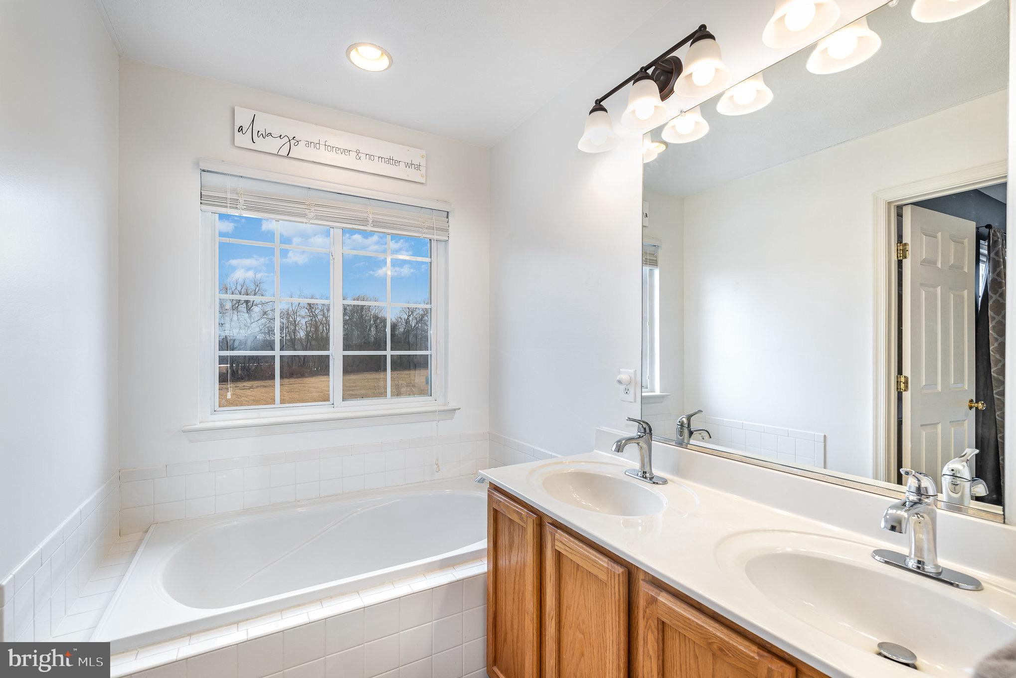 118 Maple Leaf Drive Rising Sun, MD 21911 - Photo 18 of 29 a bathroom with a sink a vanity a mirror and a bathtub