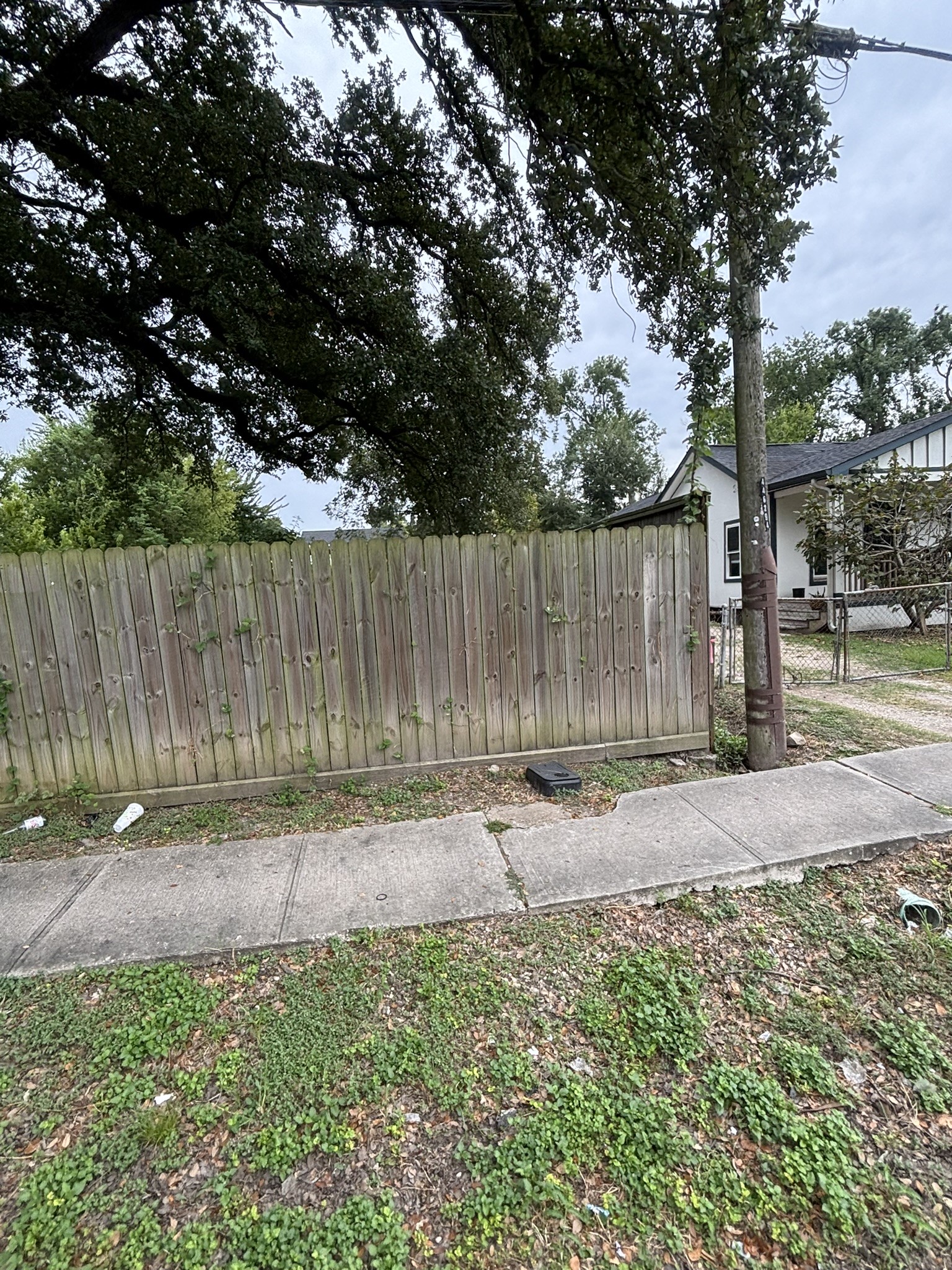3726 Parker Road Houston, TX 77093 - Photo 7 of 24 Gallery Image 7