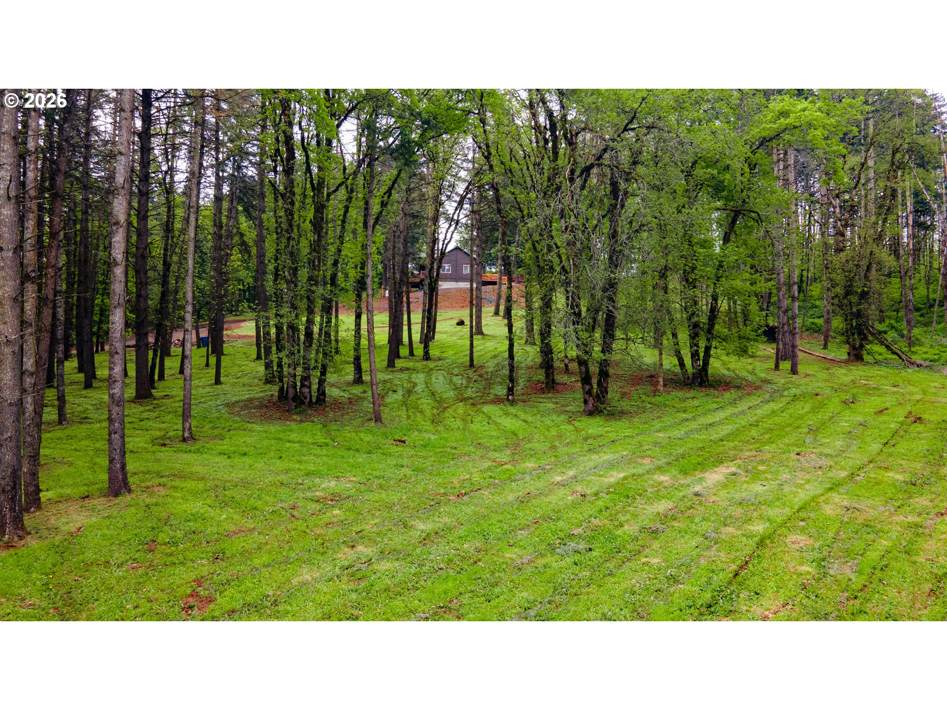 5278 Pearson Road Southeast Turner, OR 97392 - Photo 12 of 48 a open area with lots of trees