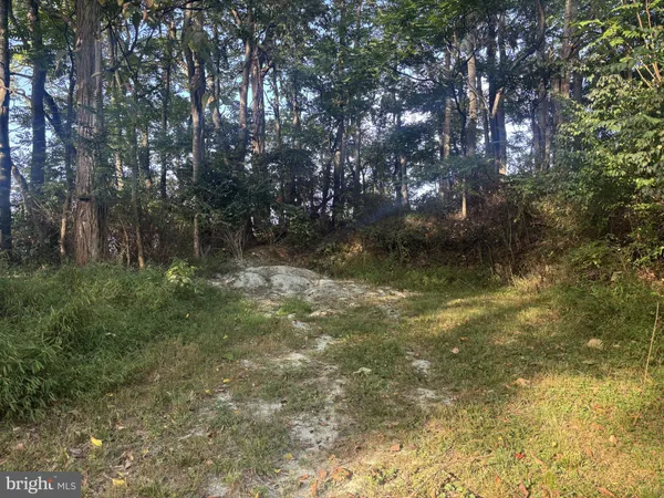 a view of lake with green space