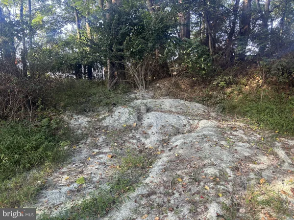 a view of outdoor space and trees