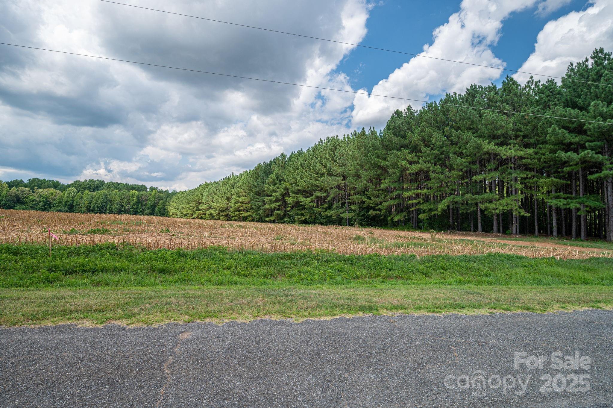 0 Hill Gates Trail, Unit 33 Cherryville, NC 28021 - Photo 5 of 8 a view of a yard with potted plants and large trees