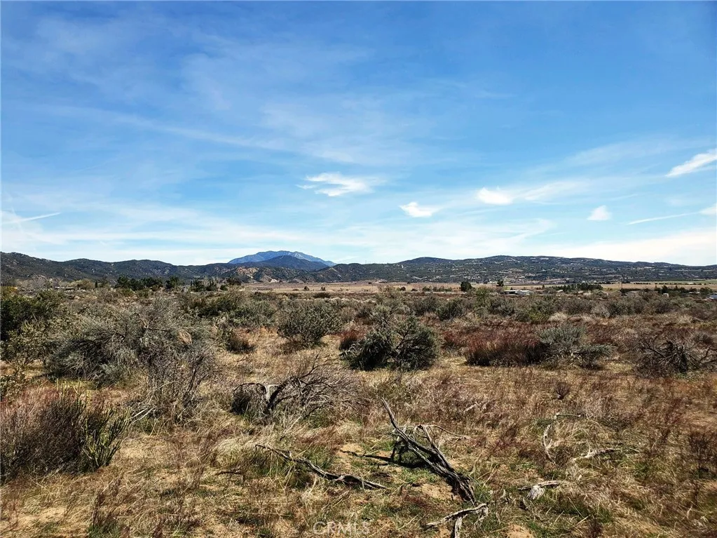 1 Mitchell Road Anza, CA 92539 - Photo 11 of 22 a view of a forest with mountains in the background
