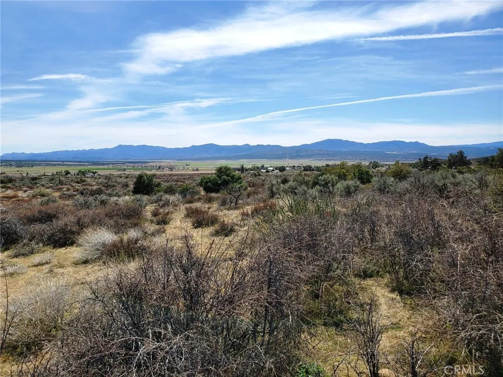 1 Mitchell Road Anza, CA 92539 - Photo 10 of 22 a view of an outdoor space and mountain view