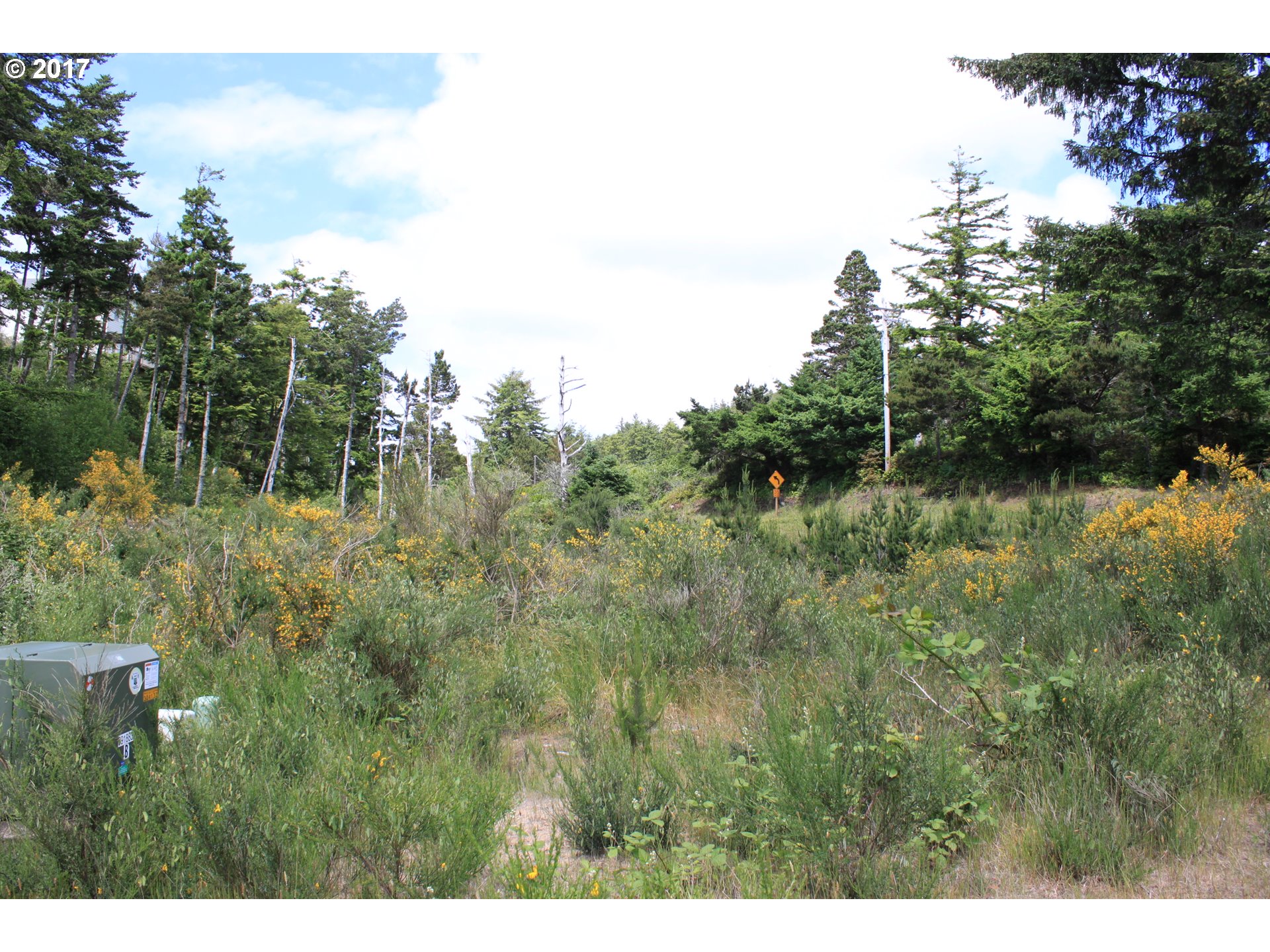 Netarts Oceanside Highway, Unit 2LOTS Tillamook, OR 97141 - Photo 3 of 9 a view of a lush green forest with lots of trees