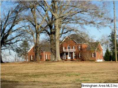 6821 Castle Heights Road Morris, AL 35116 - Photo 7 of 27