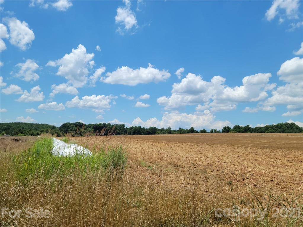 0 Pressly Farm Road Stony Point, NC 28678 - Photo 6 of 7 Gallery Image 6