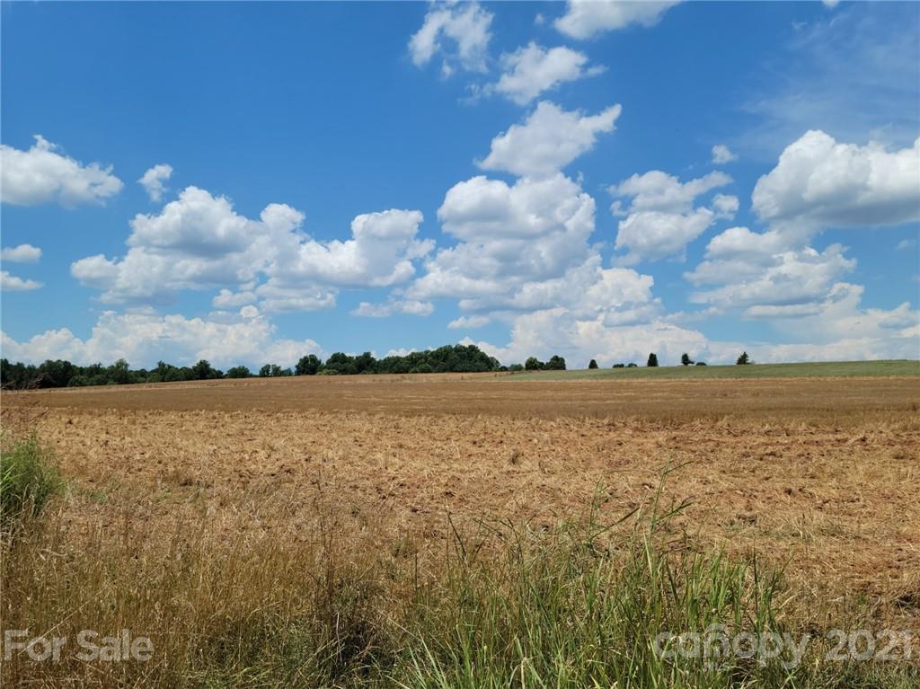 0 Pressly Farm Road Stony Point, NC 28678 - Photo 7 of 7 Gallery Image 7
