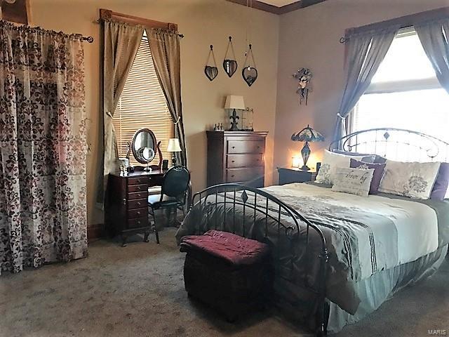 111 County Road Kane, IL 62054 - Photo 14 of 36
