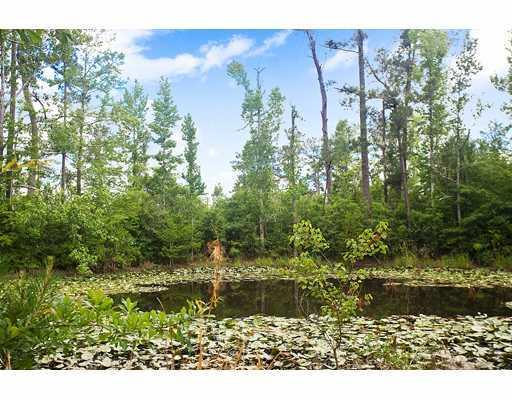24380 West Higgins Road Bush, LA 70431 - Photo 12 of 12 Gallery Image 12