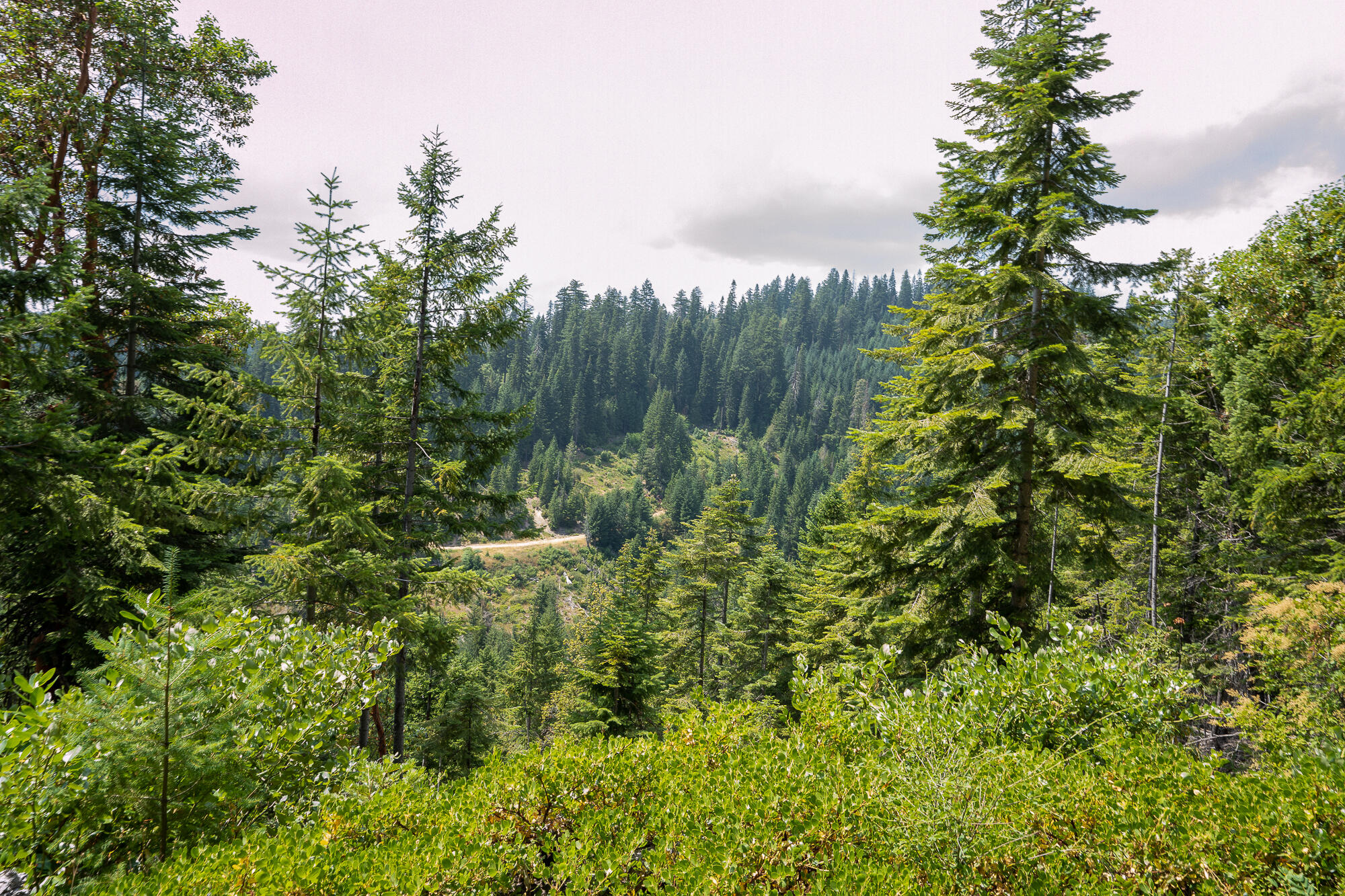 14083 Elk Creek Road Trail, OR 97541 - Photo 14 of 21 Pic 15