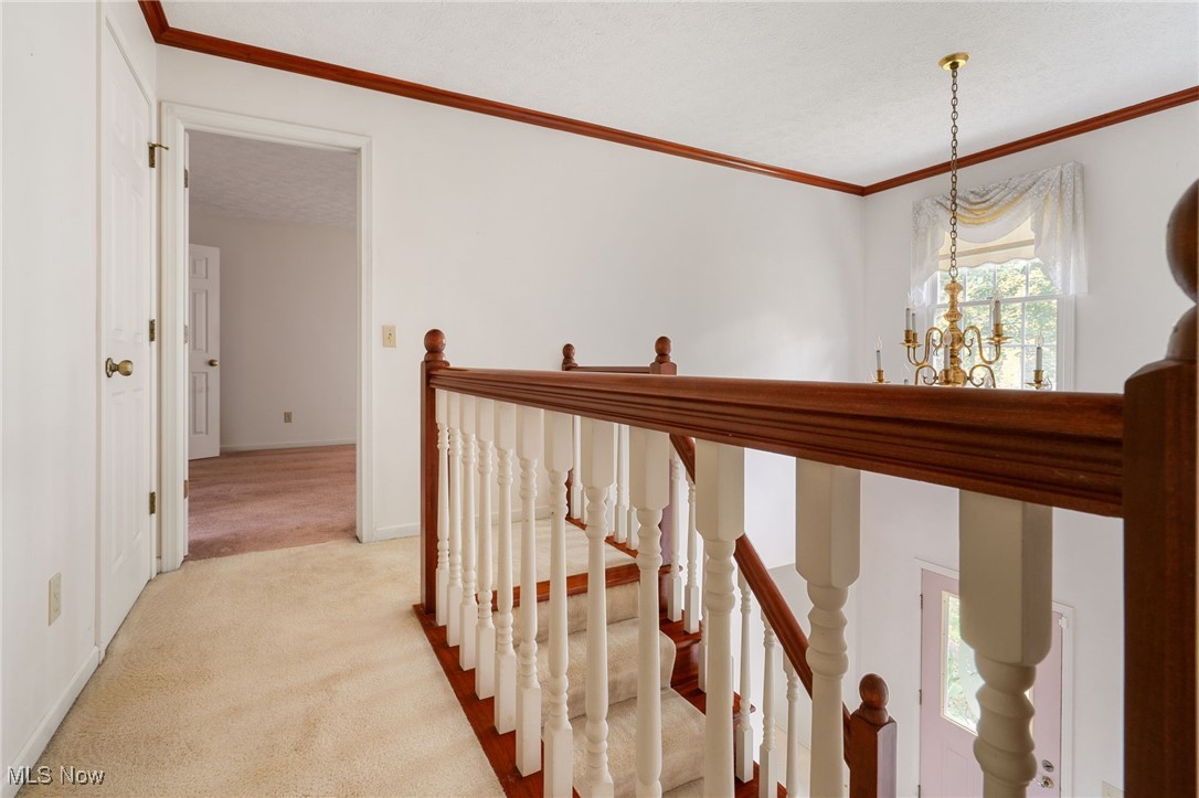 4057 Etter Road Mogadore, OH 44260 - Photo 24 of 41 Hallway with crown molding, a textured ceiling, light colored carpet, and an inviting chandelier