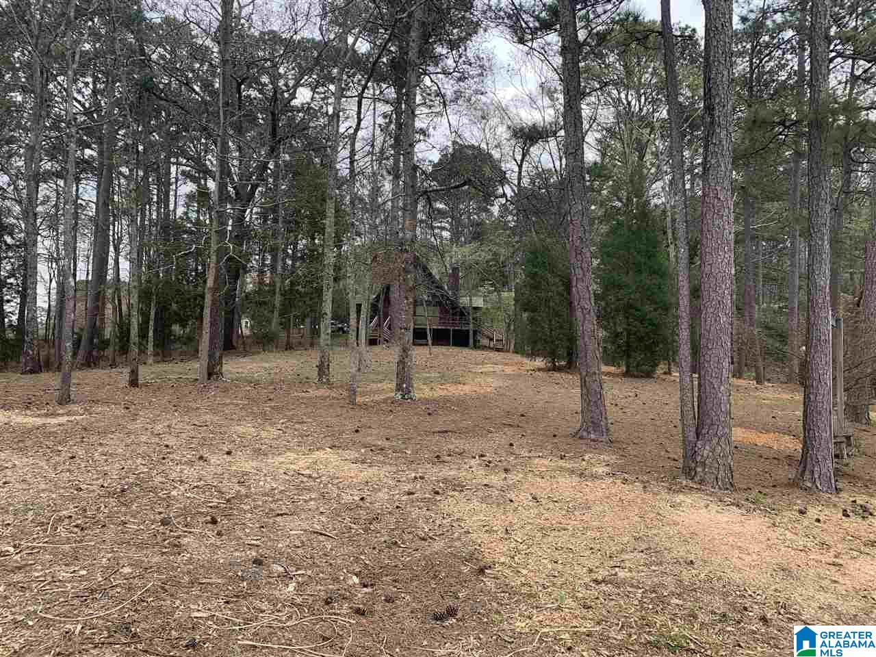 780 Treasure Island Road Cropwell, AL 35054 - Photo 33 of 33