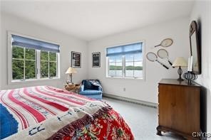 106 Kenmore Road Webb, NY 13420 - Photo 20 of 46