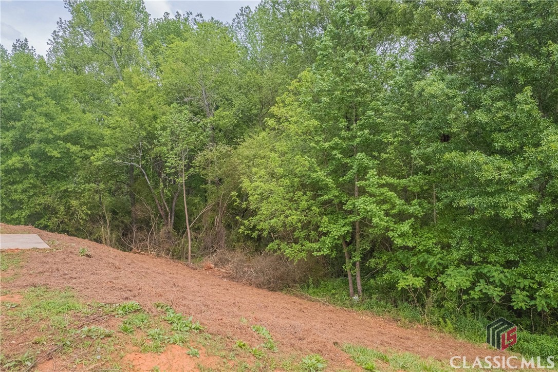 1393 Biedermeier Road Winder, GA 30680 - Photo 67 of 74