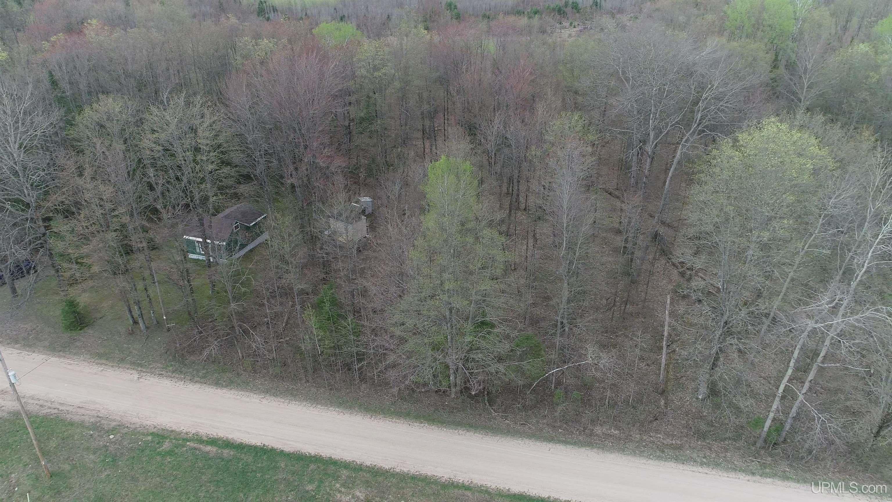 3946 East Storm Road Chatham, MI 49816 - Photo 34 of 37