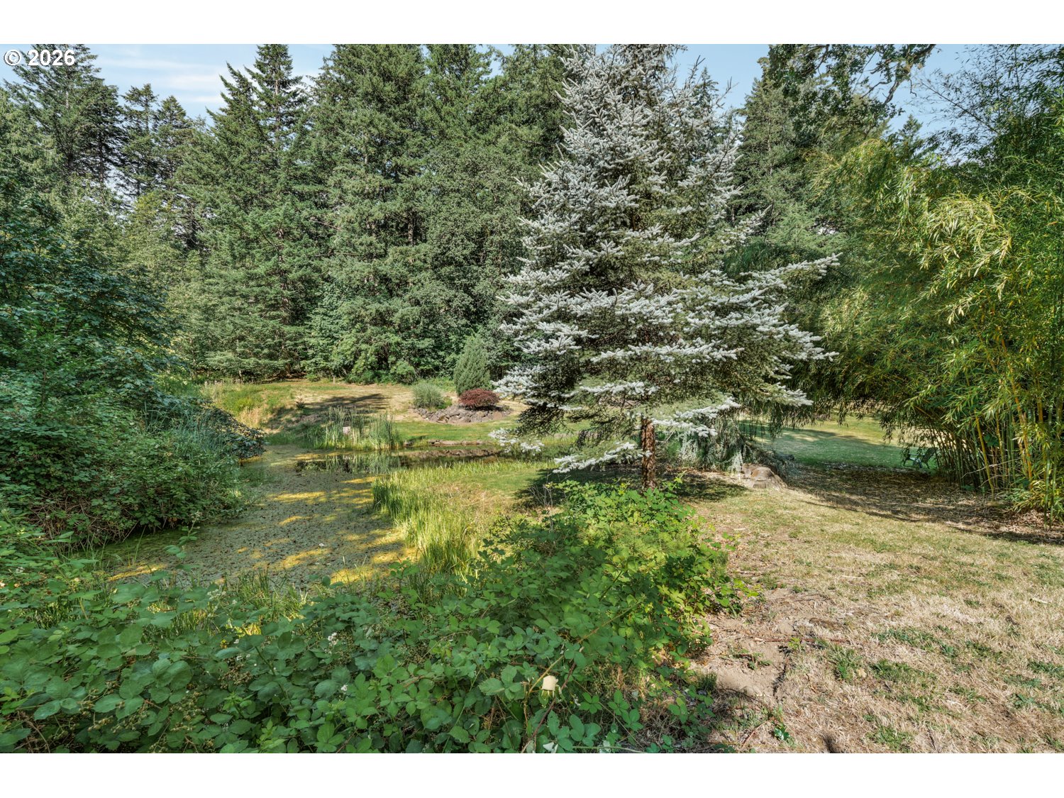 315 Southwest Attwell Road Stevenson, WA 98648 - Photo 35 of 43