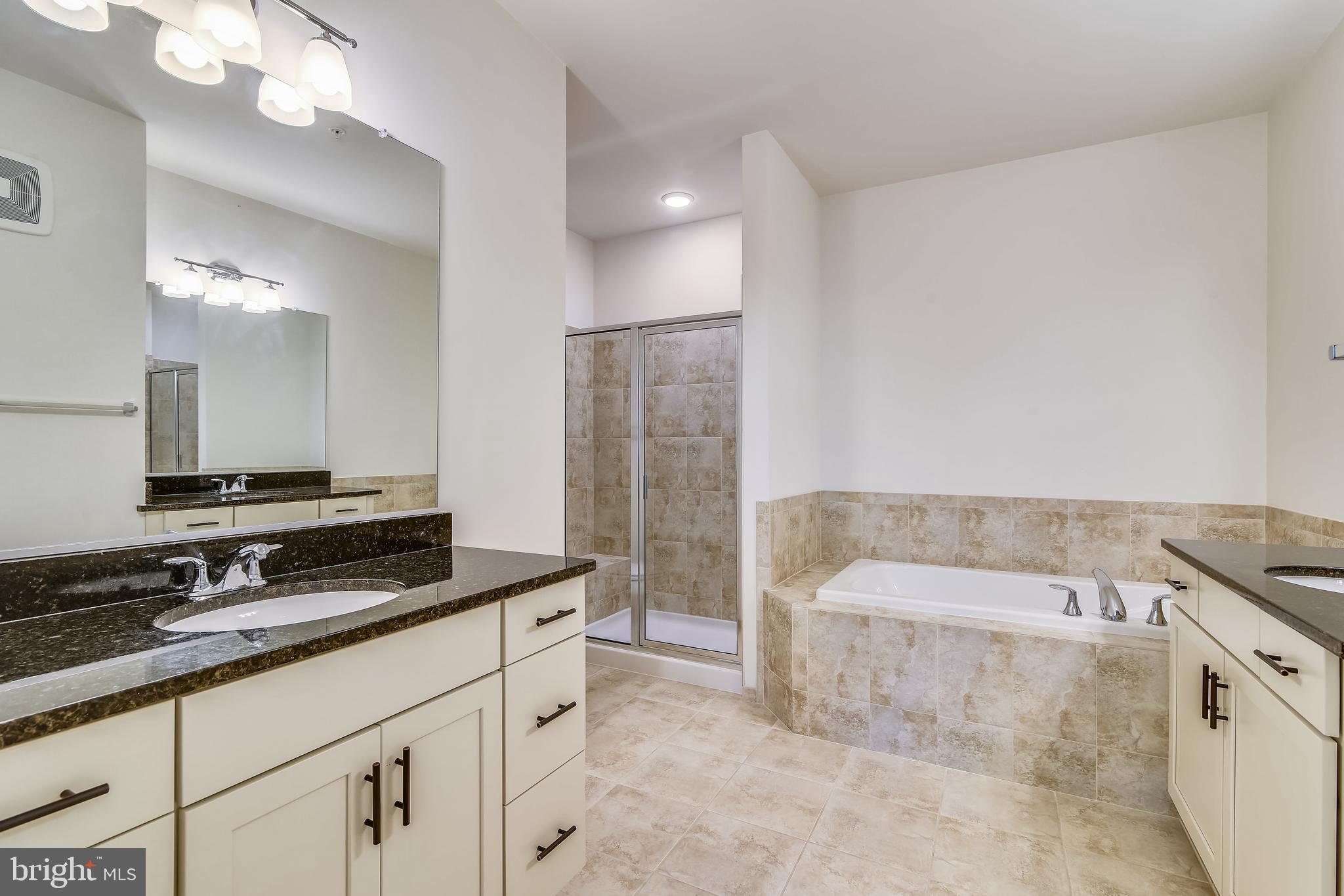 1508 Ribbon Limestone Terrace Southeast Leesburg, VA 20175 - Photo 47 of 79 a spacious bathroom with a double vanity sink a mirror and a bathtub