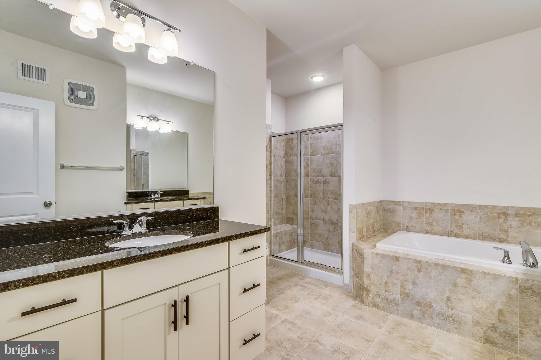 1508 Ribbon Limestone Terrace Southeast Leesburg, VA 20175 - Photo 48 of 79 a bathroom with a granite countertop sink a toilet a mirror and bathtub