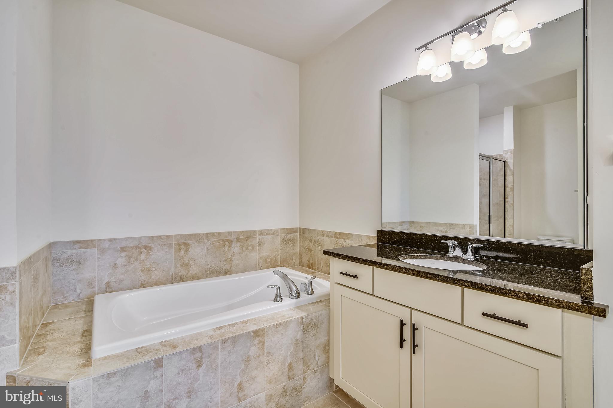 1508 Ribbon Limestone Terrace Southeast Leesburg, VA 20175 - Photo 50 of 79 a bathroom with a bathtub and a sink