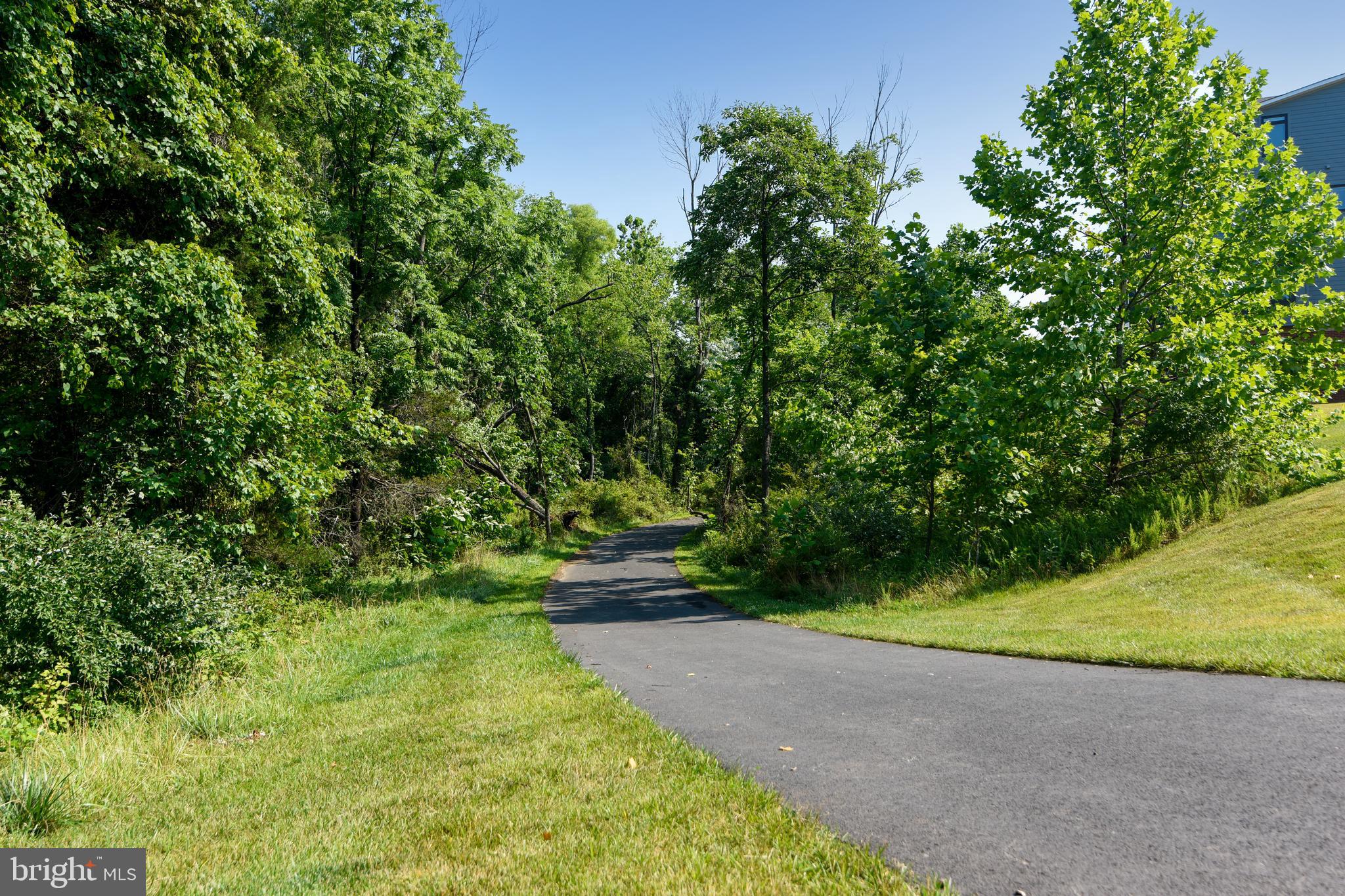 1508 Ribbon Limestone Terrace Southeast Leesburg, VA 20175 - Photo 55 of 79 a view of yard with green space