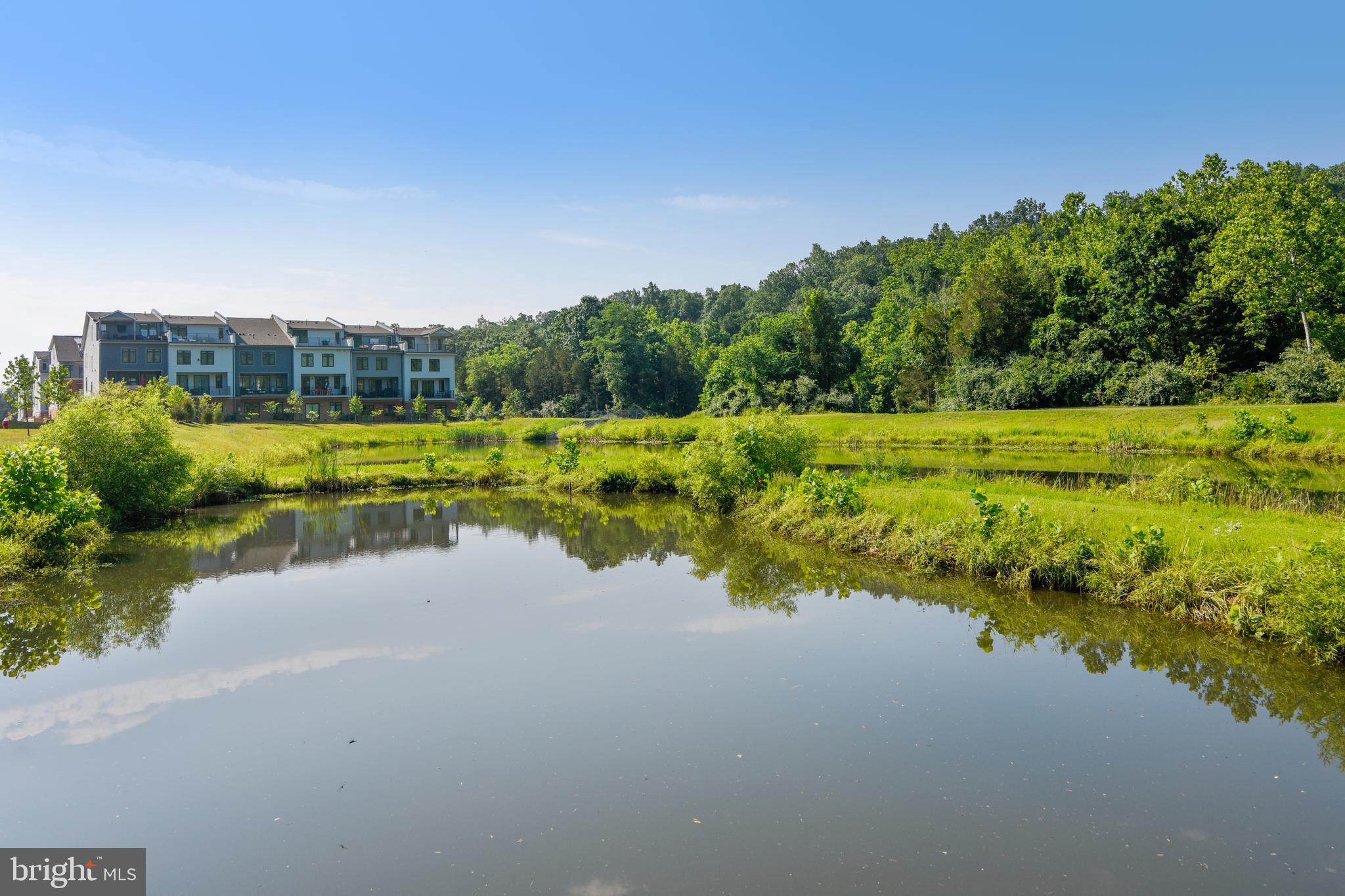 1508 Ribbon Limestone Terrace Southeast Leesburg, VA 20175 - Photo 57 of 79 Village Walk Pond