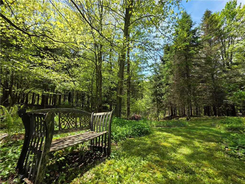3040 Quigg Hollow Road Andover, NY 14806 - Photo 33 of 46