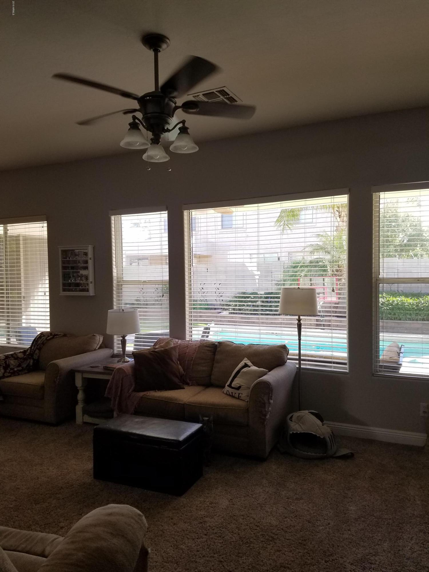3443 East Rosa Lane Gilbert, AZ 85297 - Photo 11 of 53 Raba LR pool