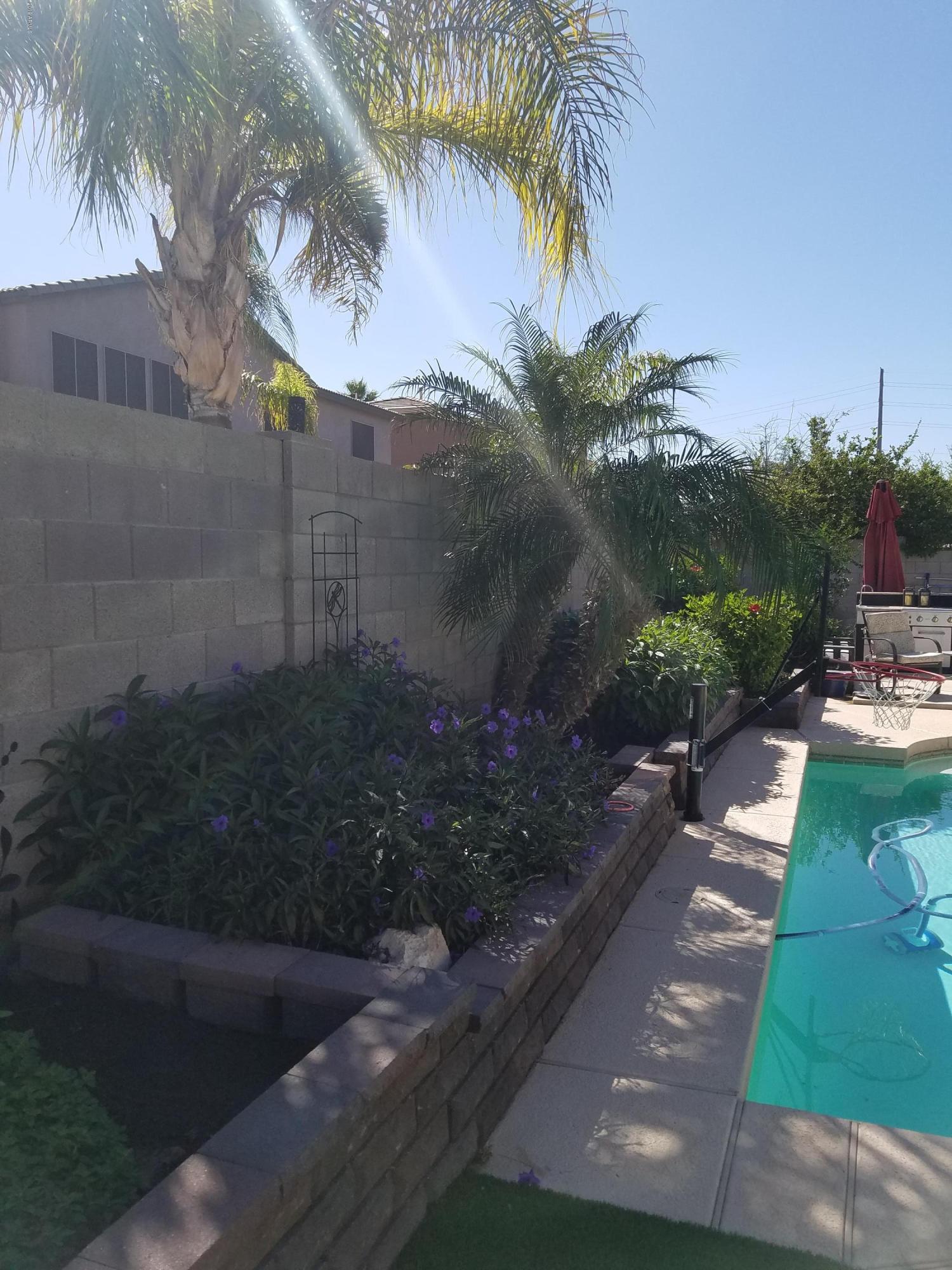3443 East Rosa Lane Gilbert, AZ 85297 - Photo 45 of 53 raba pool 4