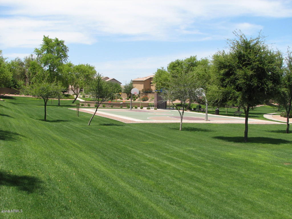 3443 East Rosa Lane Gilbert, AZ 85297 - Photo 47 of 53 a view of a park