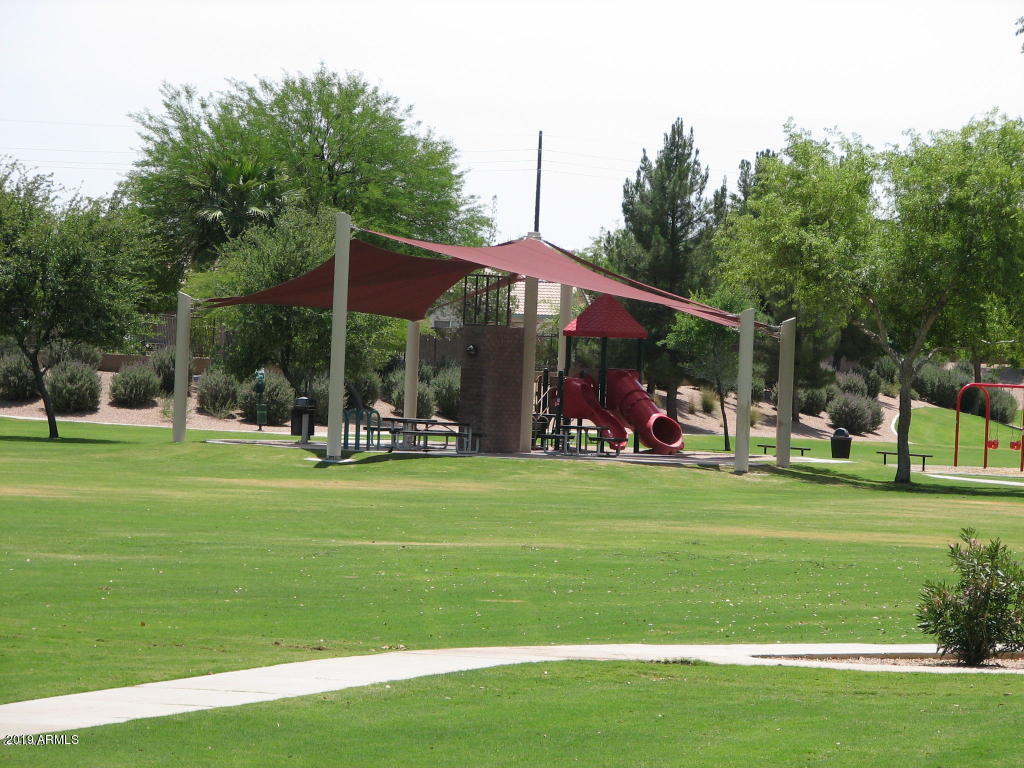 3443 East Rosa Lane Gilbert, AZ 85297 - Photo 50 of 53 a view of a park