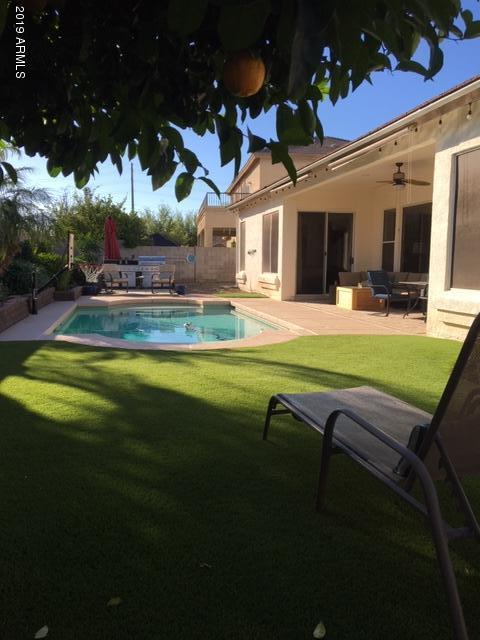 3443 East Rosa Lane Gilbert, AZ 85297 - Photo 5 of 53 Raba Backyard