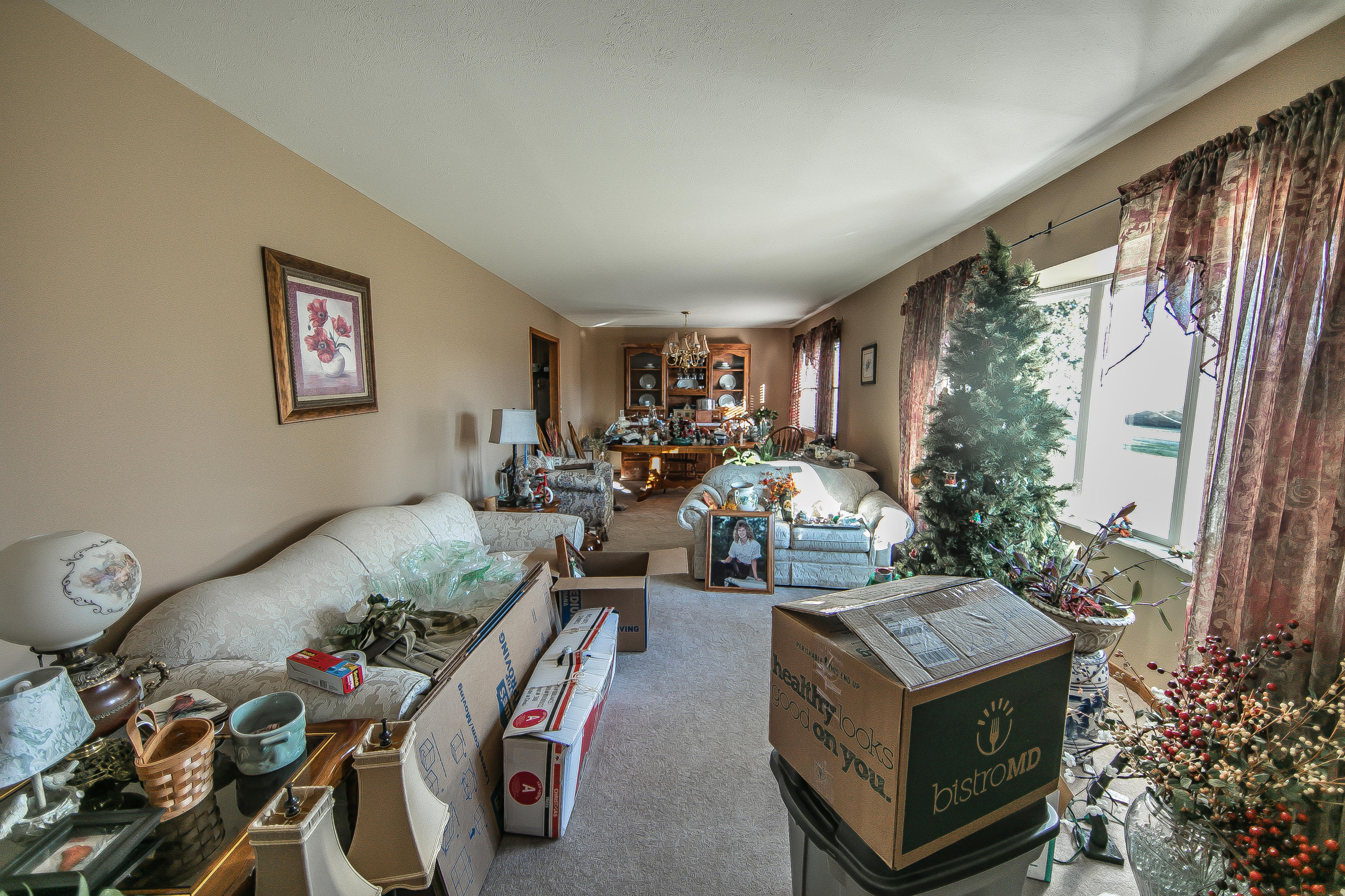 963 Webster Road Harriman, TN 37748 - Photo 11 of 22 FMN_2854-1