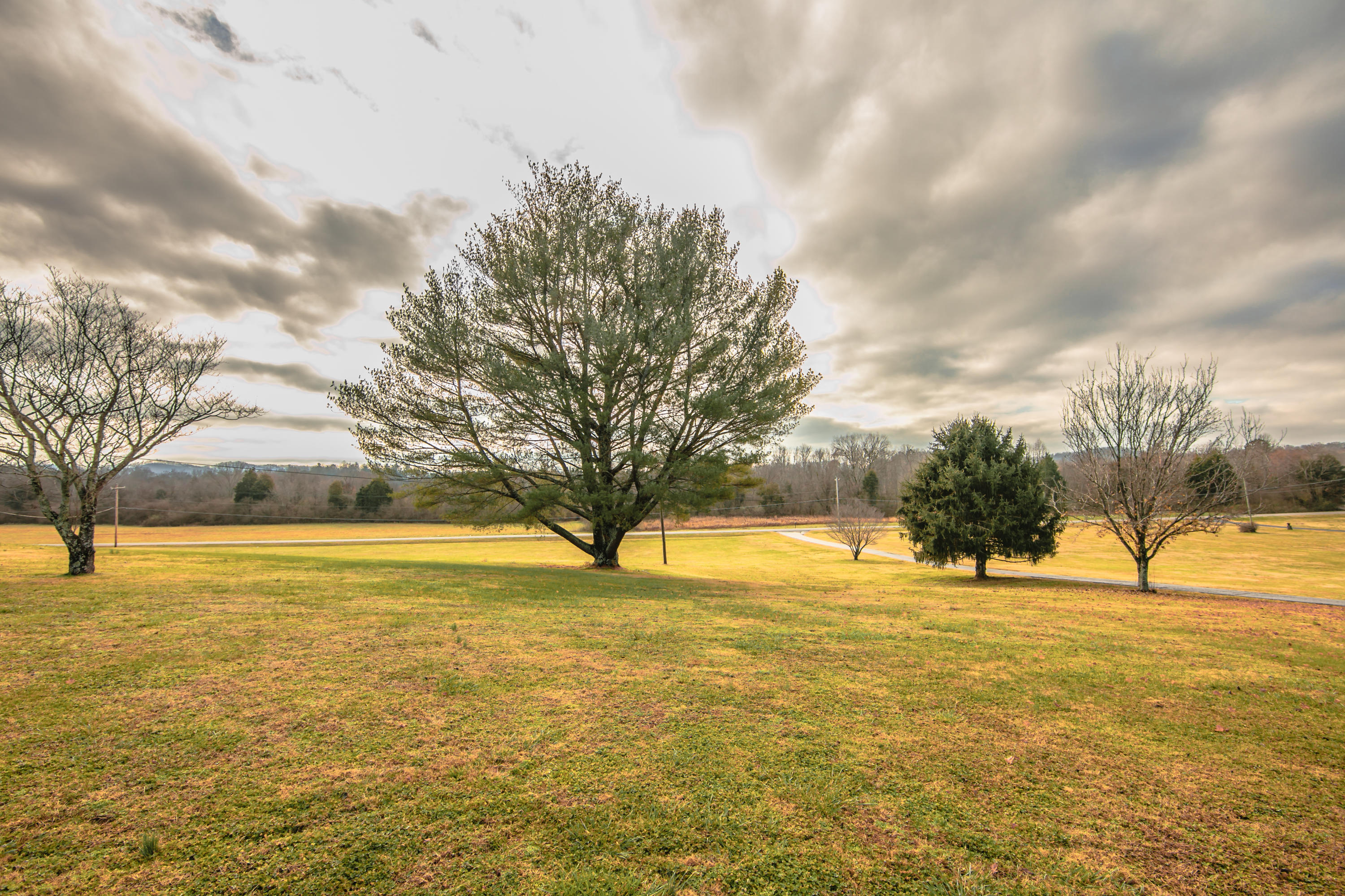 963 Webster Road Harriman, TN 37748 - Photo 7 of 22 FMN_1782-1