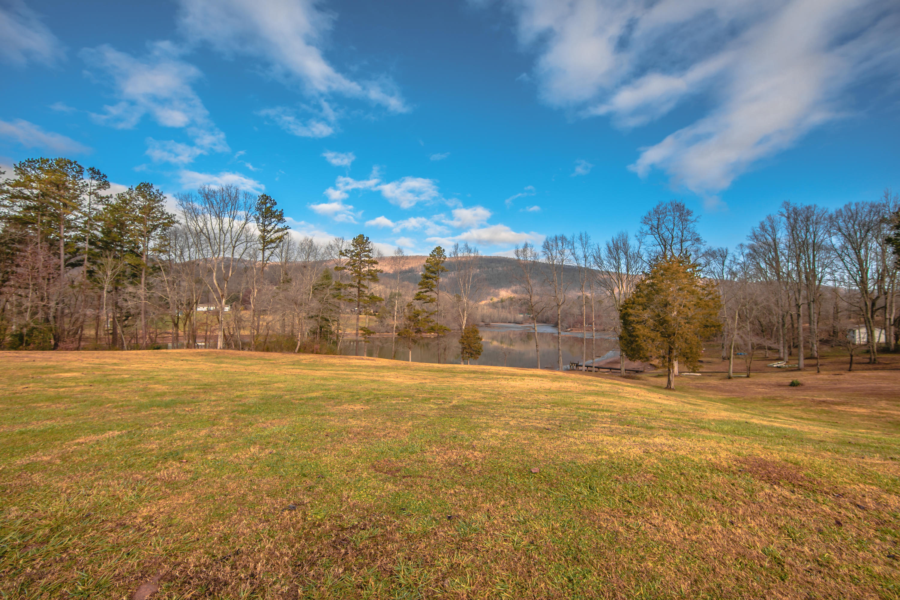 963 Webster Road Harriman, TN 37748 - Photo 8 of 22 FMN_1784-1