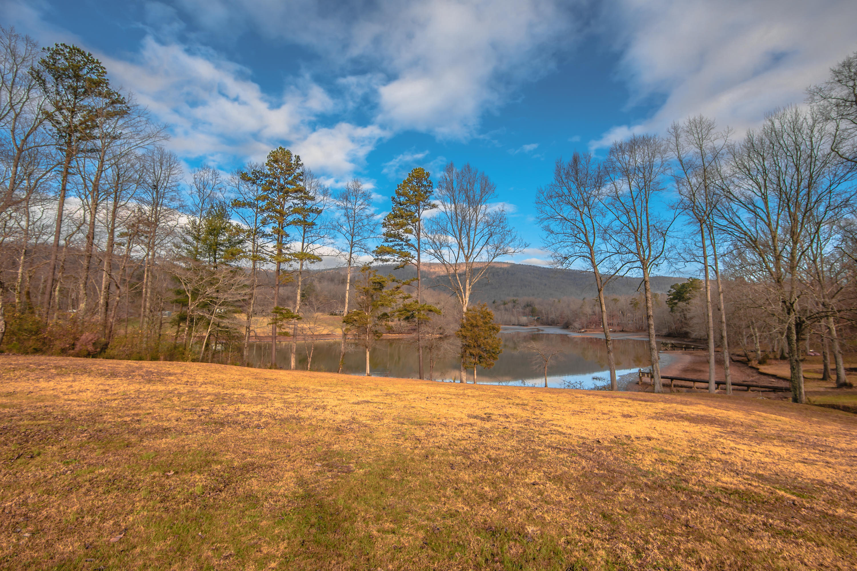 963 Webster Road Harriman, TN 37748 - Photo 9 of 22 FMN_1788-1