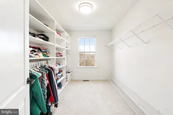 a bathroom with a shower sink double vanity and a mirror