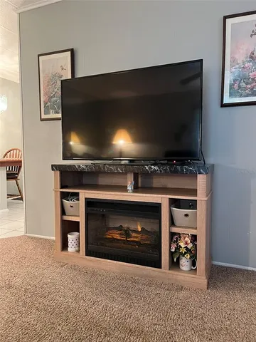 a living room with a flat screen tv and a fireplace
