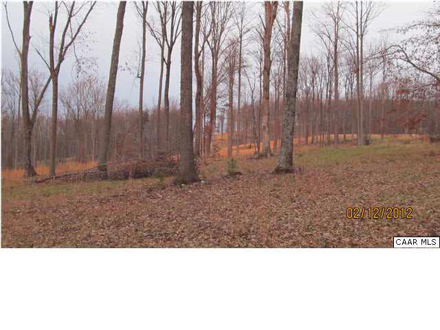 225 Irish Road Schuyler, VA 22969 - Photo 3 of 10 Gallery Image 3