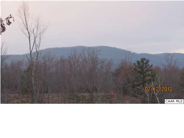 225 Irish Road Schuyler, VA 22969 - Photo 4 of 10 Gallery Image 4