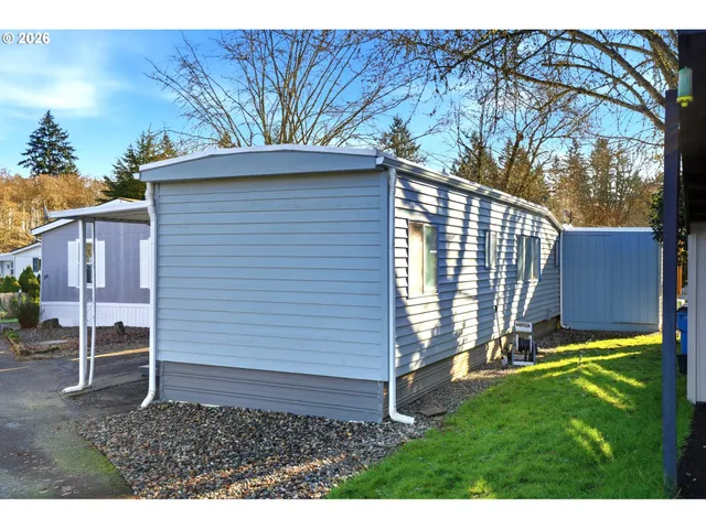 a view of backyard with a large tree
