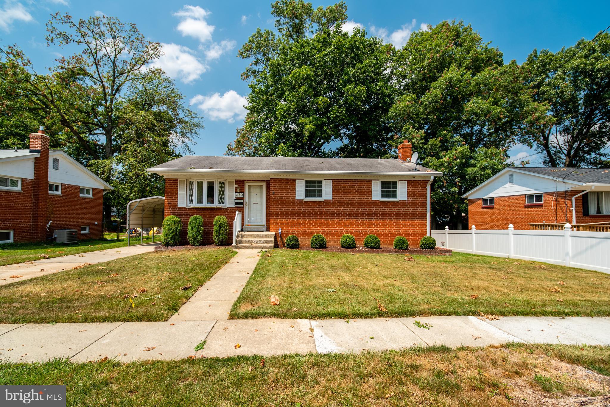 239 Hannes Street Silver Spring, MD 20901 - Photo 38 of 39
