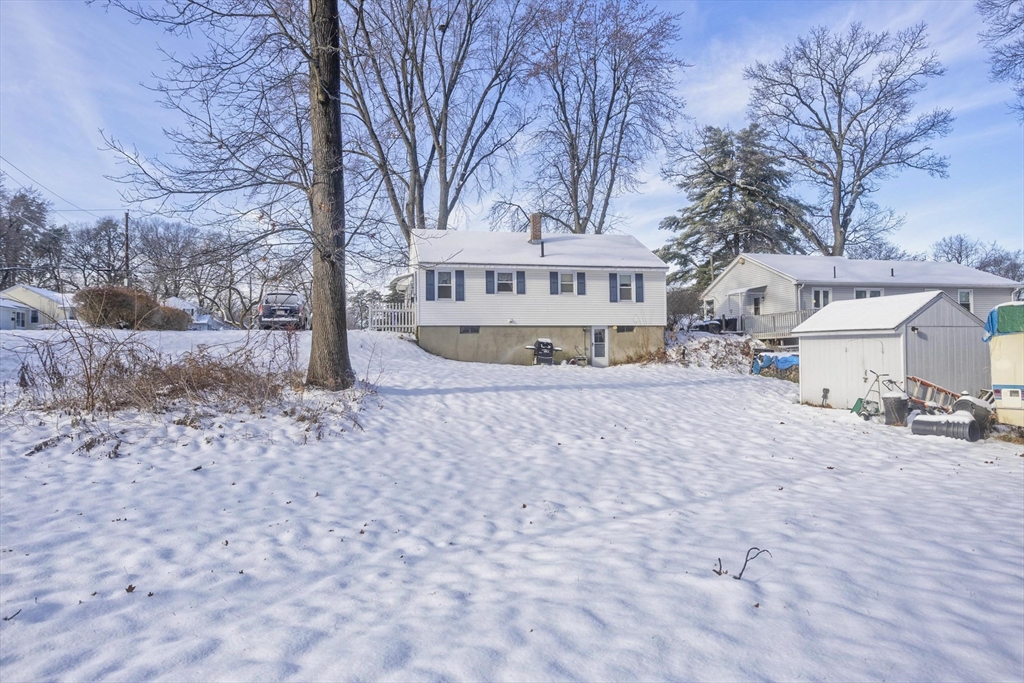 129 Cooper Street Springfield, MA 01108 - Photo 24 of 26 a white house that has a tree in front of it
