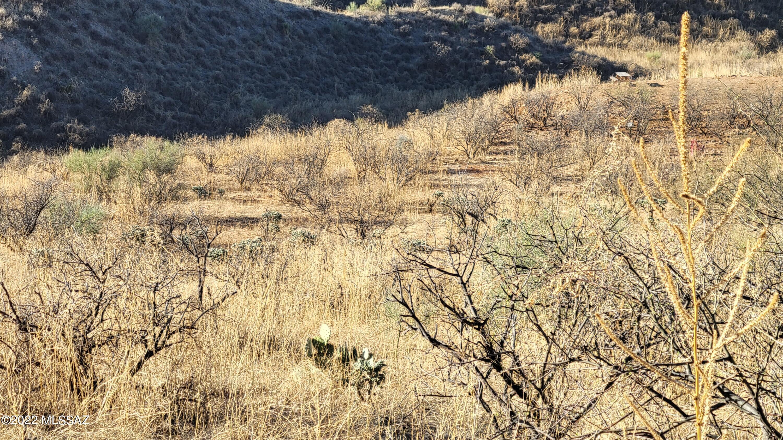 181 Vereda Cabrilla Lane, Unit 31 Rio Rico, AZ 85648 - Photo 5 of 13