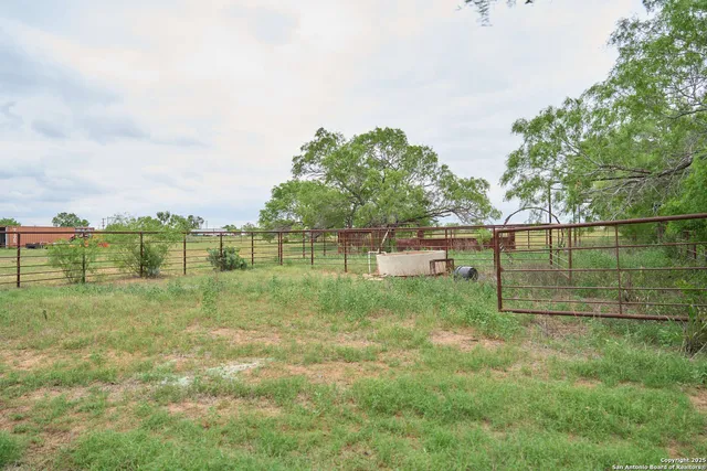 a view of a backyard