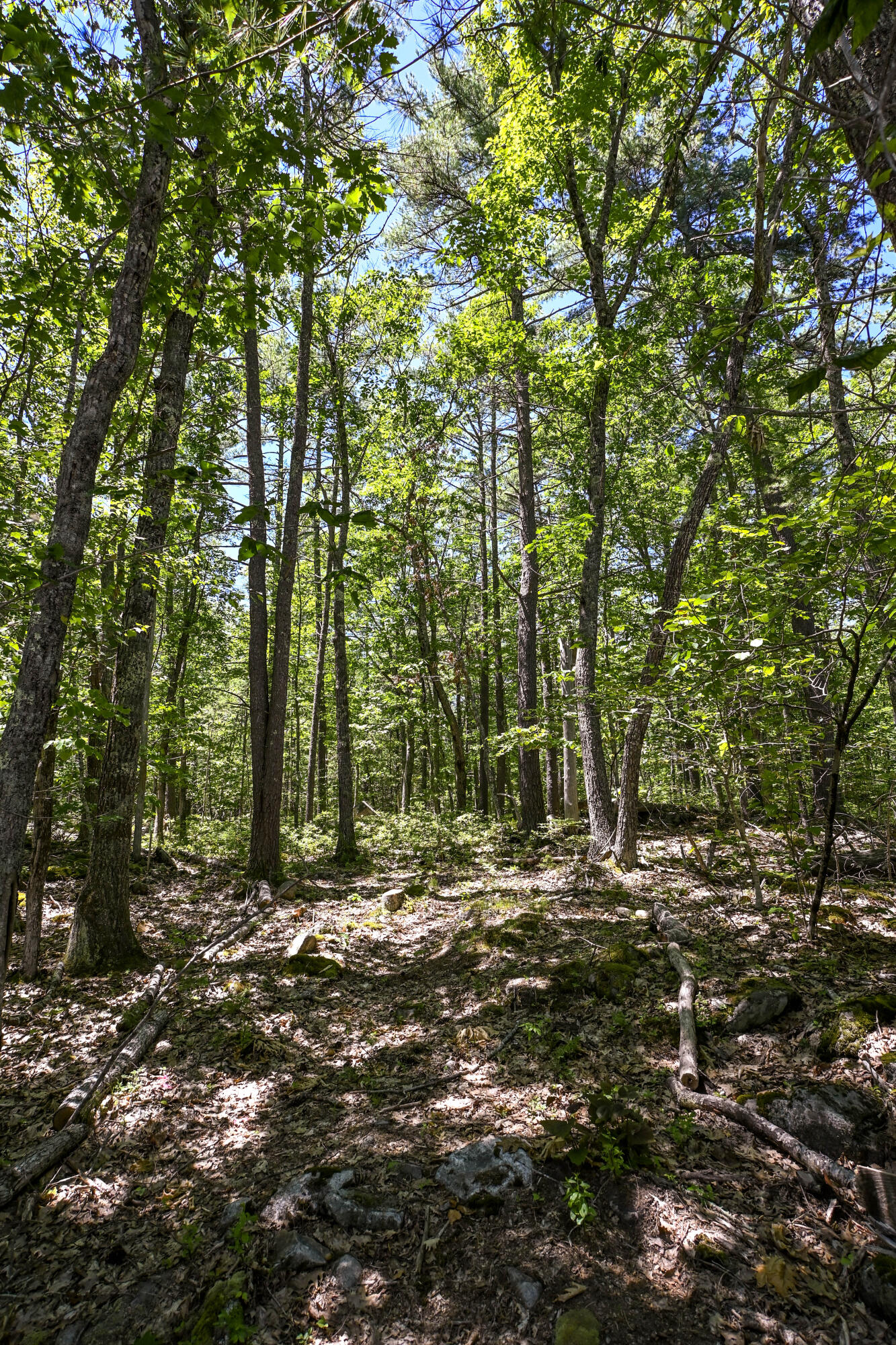 20 Witchtrot Road York, ME 03909 - Photo 16 of 19