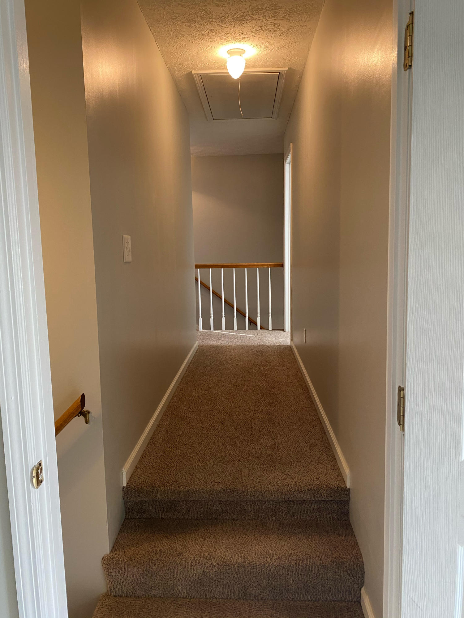 5172 Poplar Springs Road Ringgold, GA 30736 - Photo 31 of 54 C75034DB-D9DE-4B56-9C74-A0A17AF197A8