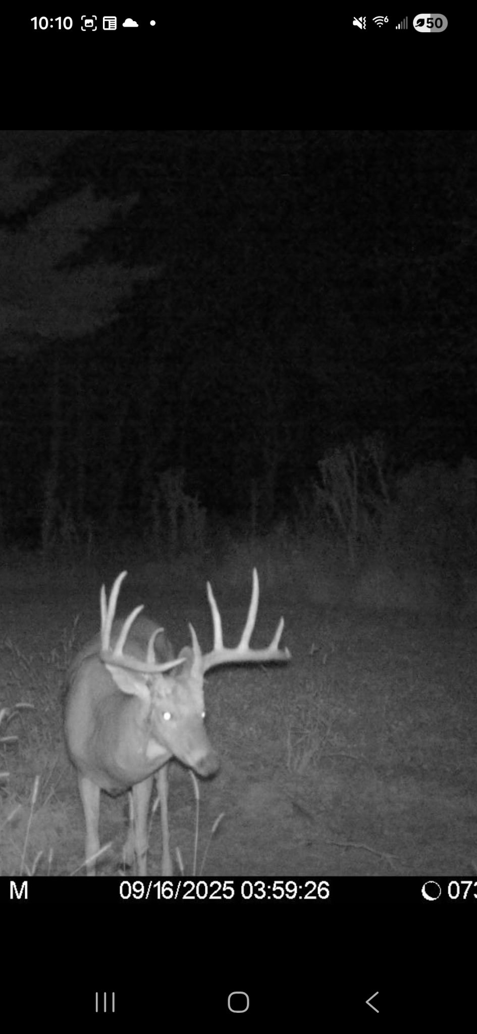 890 Independence Road Independence, WI 54747 - Photo 15 of 34